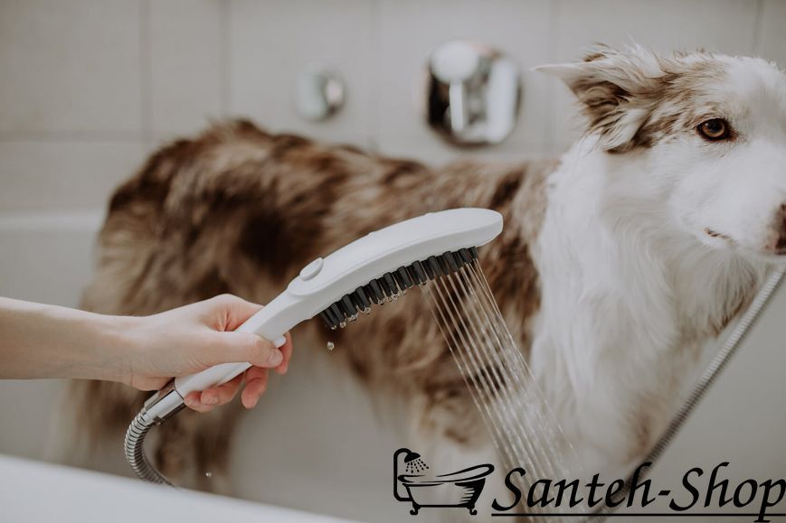 Duș de m&acirc;nă Hansgrohe 26640670 DogShower 150 3jet negru mat 26640670 foto