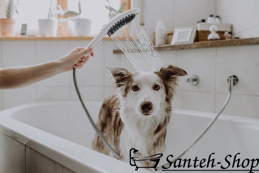 Duș de m&acirc;nă Hansgrohe 26640670 DogShower 150 3jet negru mat 26640670 foto