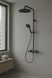 Sistem de duș Hansgrohe Raindance Alive S Puro 300 cu 1 jet 24592340, cu termostat Ecostat Element, crom mat negru 24592340 foto 3