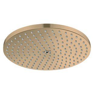 Cap de duș Hansgrohe Raindance 27624140 S 240 PowderRain EcoSmart 1jet, Bronz periat 27624140 foto