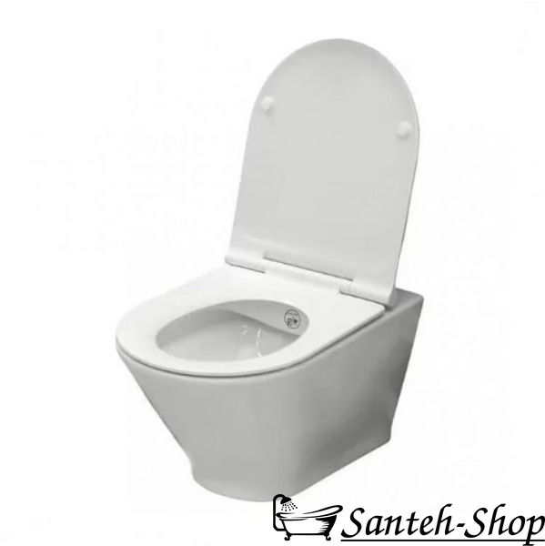 WC suspendat ROCA Teo A34H518000 A34H518000 foto