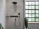 Termostat Hansgrohe RainSelect (15382140) 15382140 foto 2