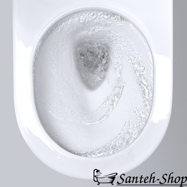 Bideu WC suspendat Grohe Sensia Arena (39354SH1) 39354SH1 foto