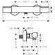 Termostat de duș cromat Hansgrohe Ecostat Element 13346000 13346000 foto 2