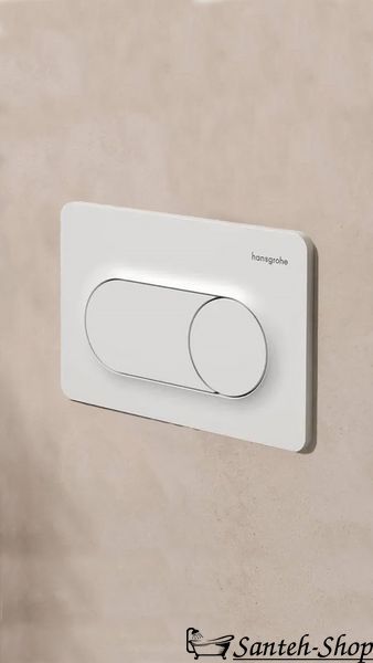 Клавиша смыва Hansgrohe iFrame Original S 66002700 для двойного смыва матовый белый 66002700 фото