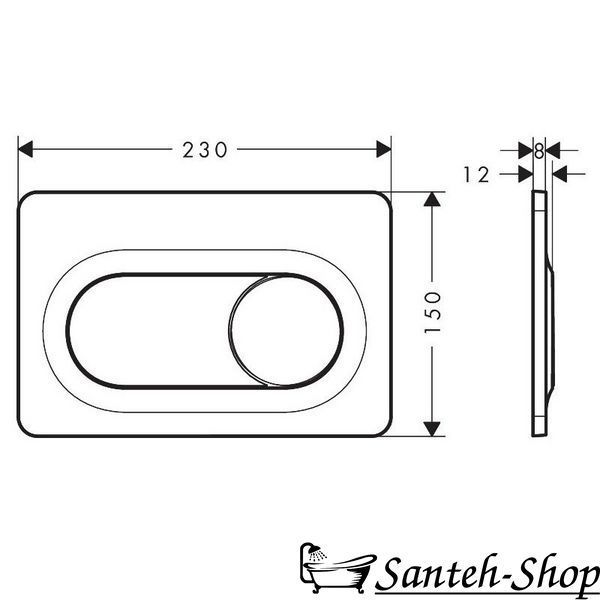 Клавиша смыва Hansgrohe iFrame Original S 66002700 для двойного смыва матовый белый 66002700 фото