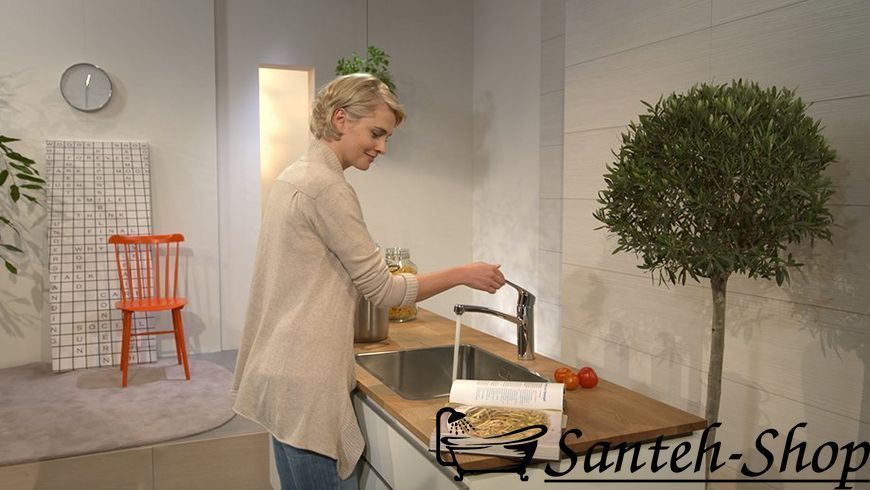 Смеситель для кухни Hansgrohe Focus E, хром (31806000) 31806000 фото