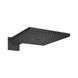 Верхний душ Hansgrohe Raindance E Overhead shower 300 1jet, matt black (26238670) 26238670 фото 1