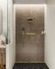 Duș de m&acirc;nă Hansgrohe Rainfinity Polished Gold Optic (26864990) 26864990 foto 3