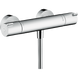 Термостат для душа Hansgrohe Ecostat 1001, хром (13211000) 13211000 фото 1