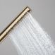 Ручной душ Hansgrohe Pulsify S 100 1jet EcoSmart, Brushed Bronze (24125140) 24125140 фото 3
