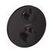 Термостат скрытого монтажа Hansgrohe Ecostat S, Matt Black (15758670) 15758670 фото 1