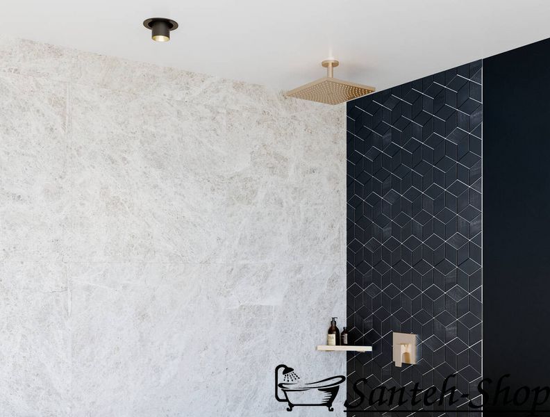 Верхний душ Hansgrohe Raindance E Overhead shower 300 1jet, matt black (26250670) 26250670 фото