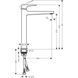 Смеситель для биде HANSGROHE 32520670 фото 2