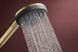 Set de duș Hansgrohe Raindance Alive Select S 3jet EcoSmart 24611140, cu suport și furtun de 1,6 m, bronz 24611140 foto 7