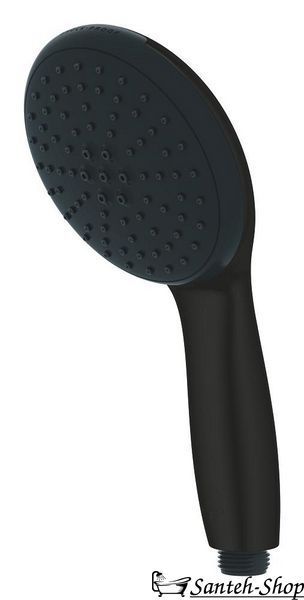 Ручной душ Grohe Tempesta 110, 2 режима струи, черный матовый (261612433) 261612433 фото