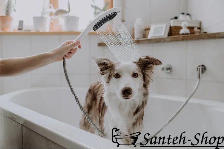 Duș de m&acirc;nă Hansgrohe DogShower 150 3Jet alb mat (26640700) 26640700 foto