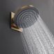 Кронштейн для верхнего душа Hansgrohe Pulsify 260, Brushed Bronze (24149140) 24149140 фото 3