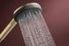 Set de duș Hansgrohe Raindance Alive Select S, Ecosmart 24603140 cu suport Unica S Puro 90, bronz 24603140 foto 4