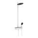 Душевая система Hansgrohe Pulsify Showerpipe 260 2jet EcoSmart 24241700 24241700 фото 1