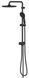 Sistem de duș Grohe Tempesta System 250 Flex cu deviator de perete, negru mat (269802431) 269802431 foto 4