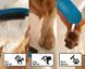 Duș de m&acirc;nă Hansgrohe DogShower 150 3Jet pe benzină, albastru (26640540) 26640540 foto 5